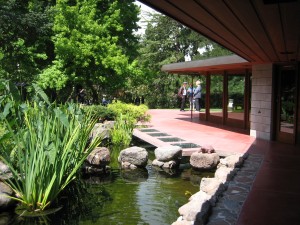 Japanese Garden and Koi Pond